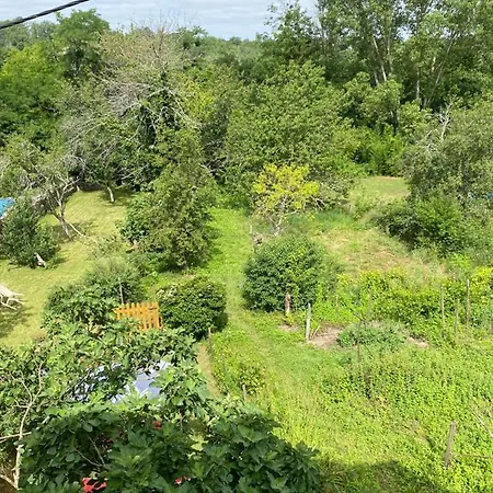 La Maison Des Anes Отель